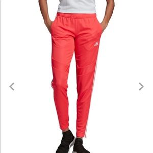Adidas tiro 19 trackpants